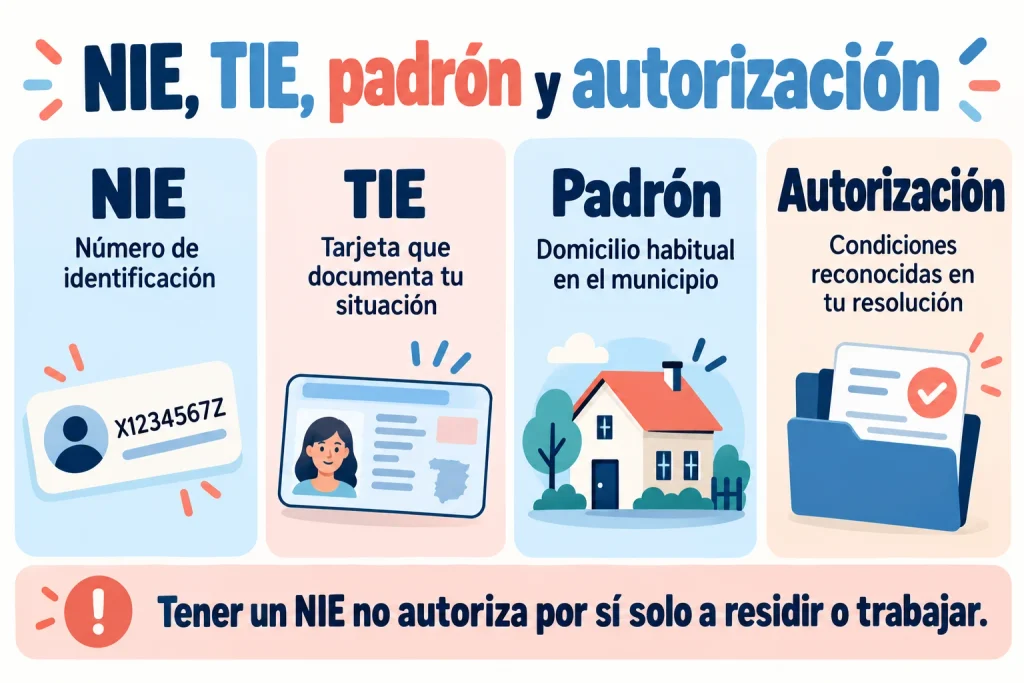Infografía: diferencias entre NIE, TIE, padrón y autorización de residencia